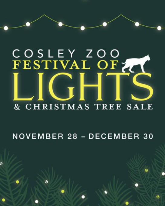 Festival of Lights & Tree Sale at Cosley Zoo